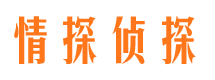 江海侦探公司